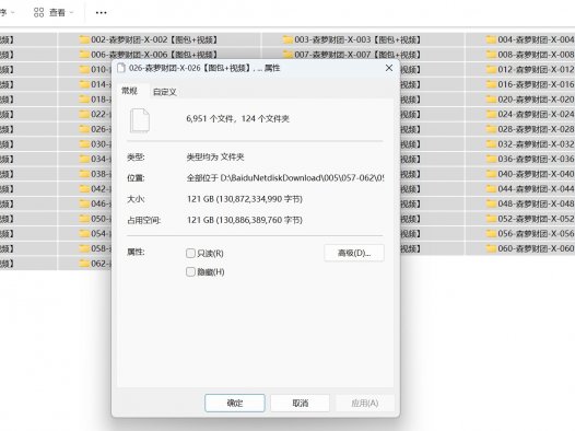 001-森萝财团-X-001到062【图包+视频】